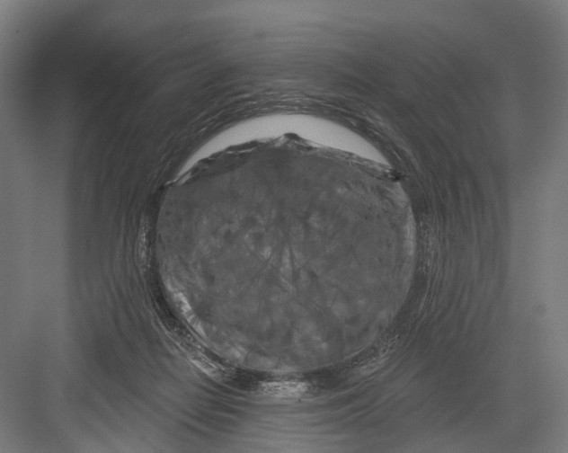 X0000082710266200702161823