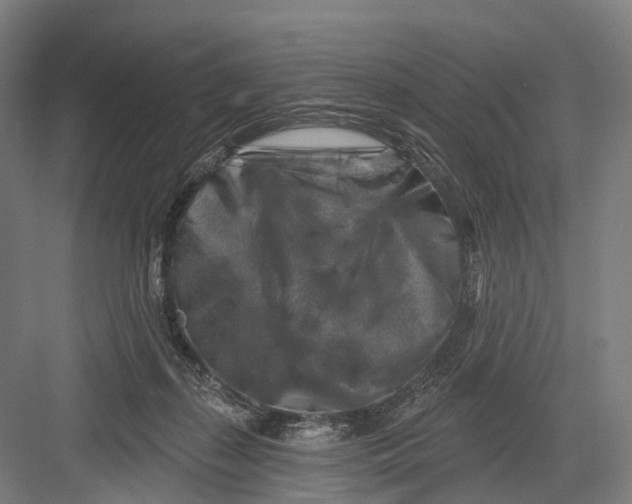 X0000082710267200702161823