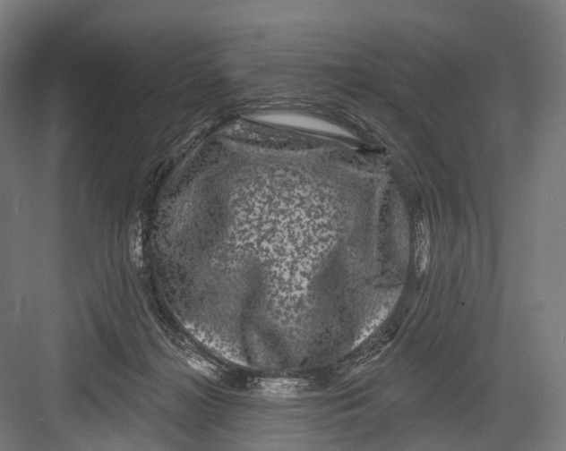 X0000082710268200702161823