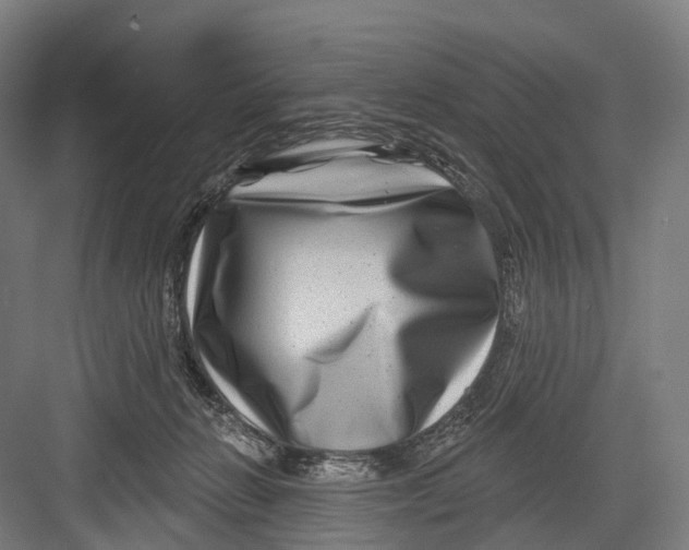 X0000082710270200702161823