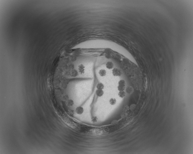 X0000082710272200702161823