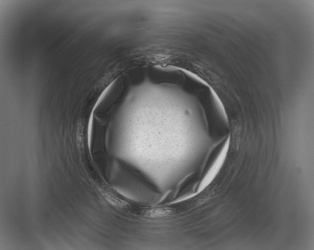 X0000082710274200702161823