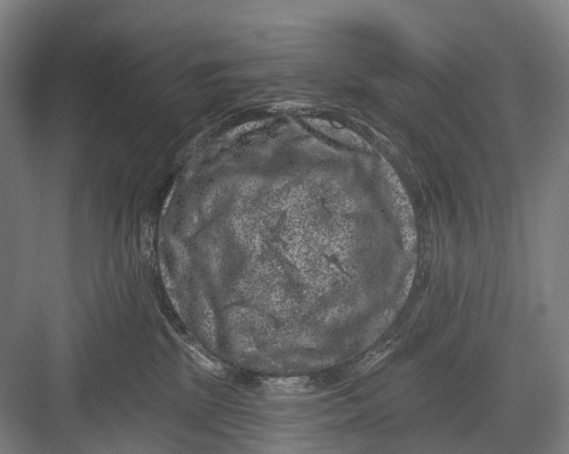 X0000082710281200702161823