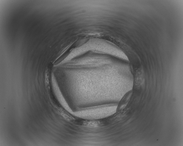 X0000082710282200702161823