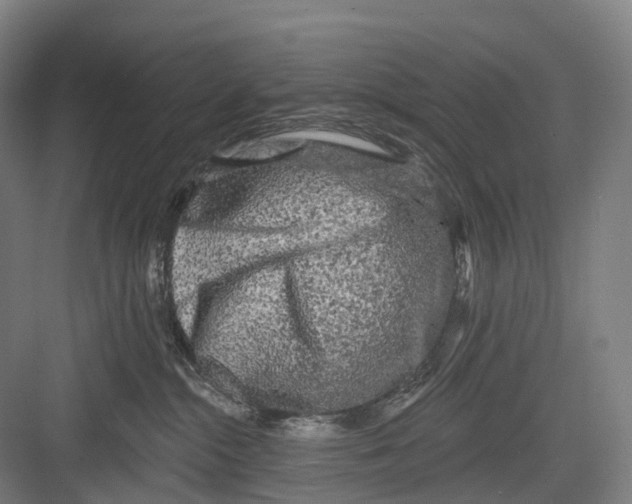 X0000082710284200702161823