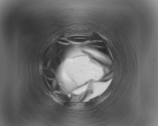 X0000082710288200702161823