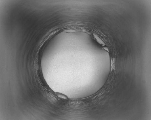 X0000082710291200702161823