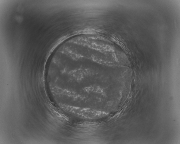 X0000082710292200702161823