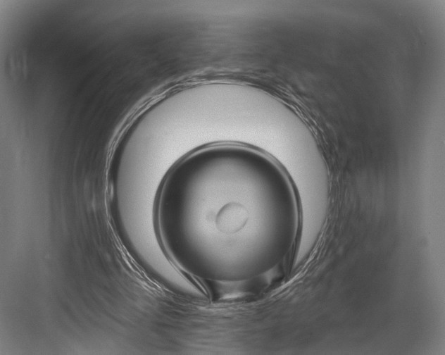 X0000082710293200702161823