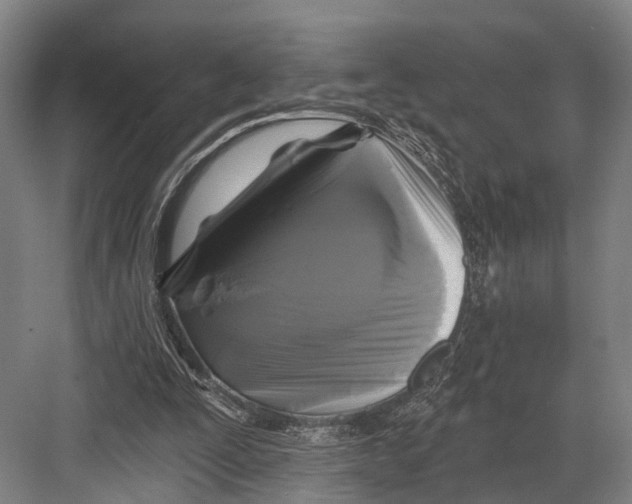 X0000082710295200702161823