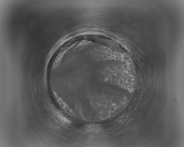 X0000082710296200702161822