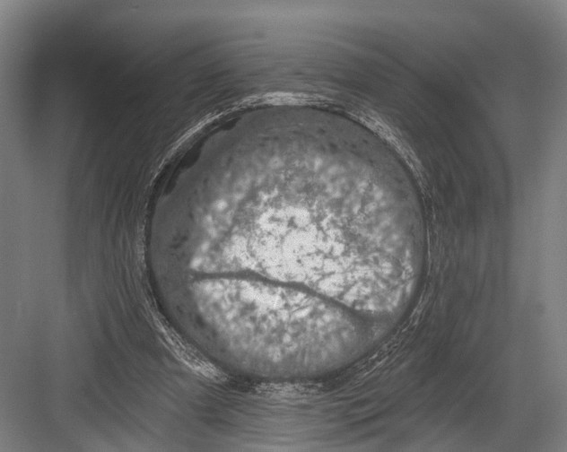 X0000082710297200702161822