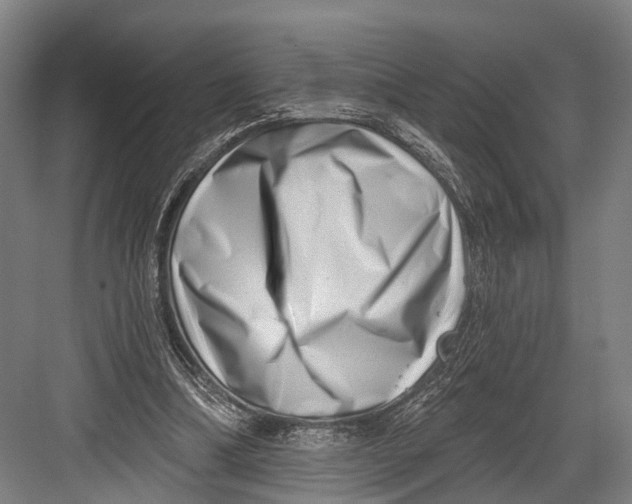 X0000082710298200702161822