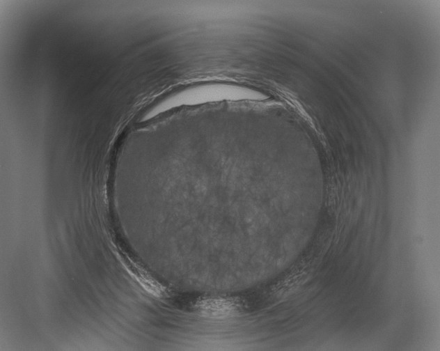 X0000082710299200702161822