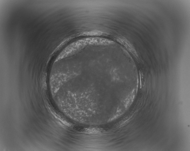 X0000082710300200702161822