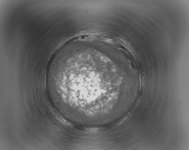 X0000082710301200702161822