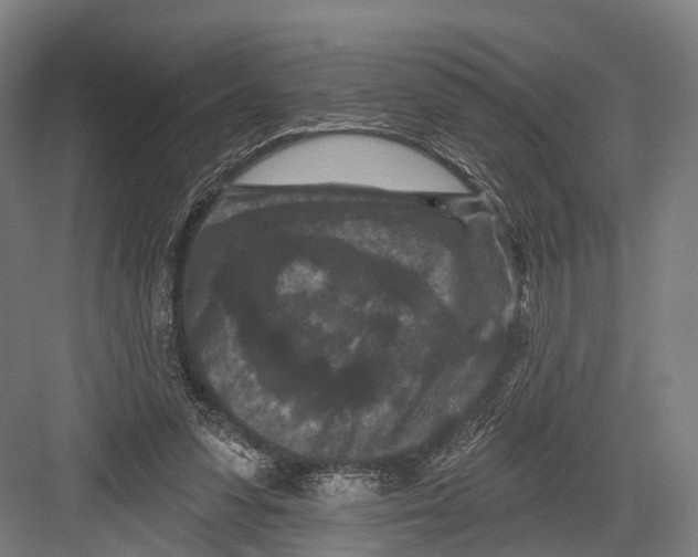 X0000082710303200702161822