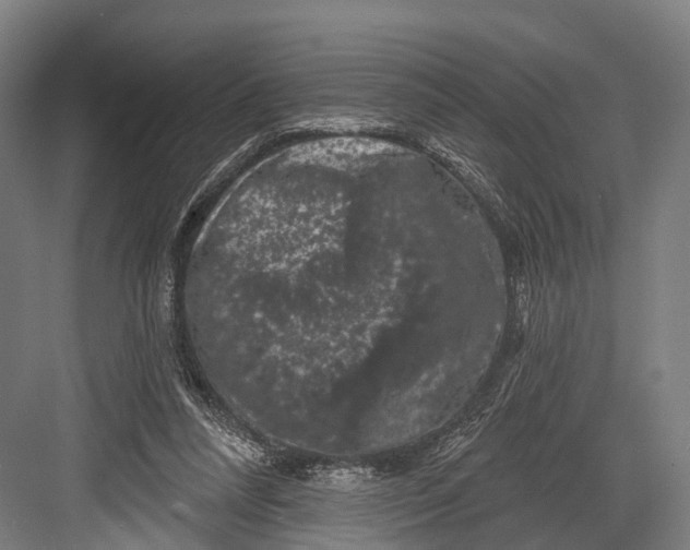 X0000082710304200702161822