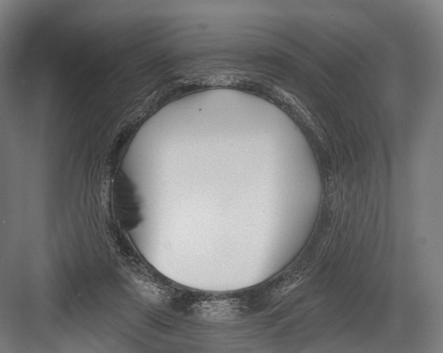 X0000082710307200702161822