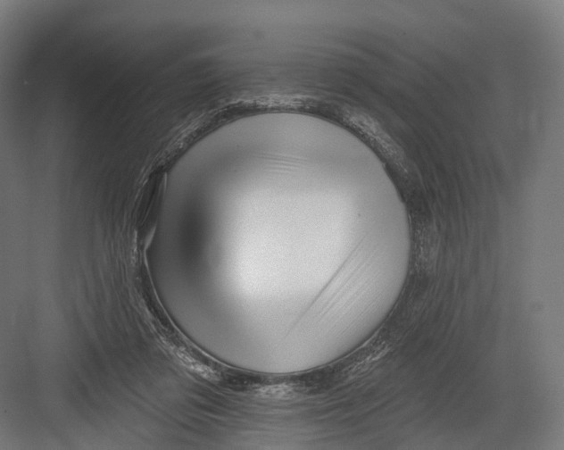 X0000082710309200702161822