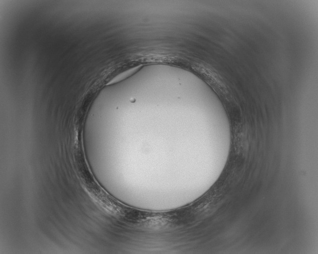 X0000082710310200702161822