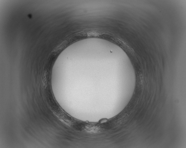 X0000082710311200702161822