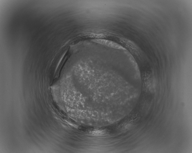 X0000082710312200702161822