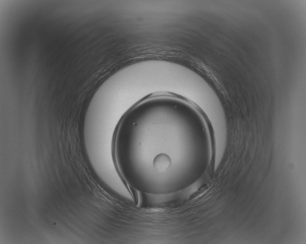 X0000082710313200702161822