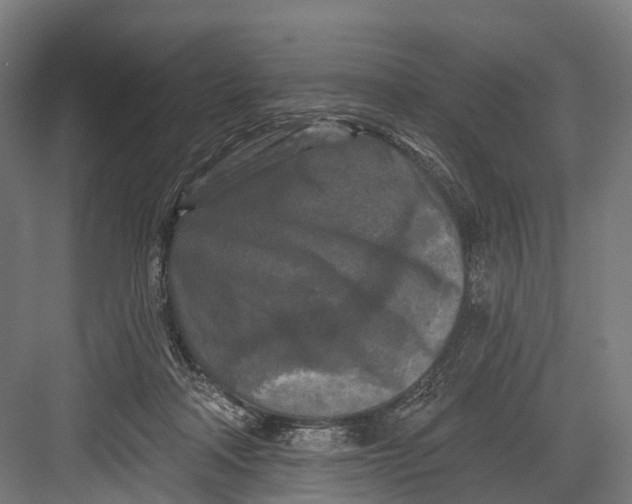 X0000082710314200702161822