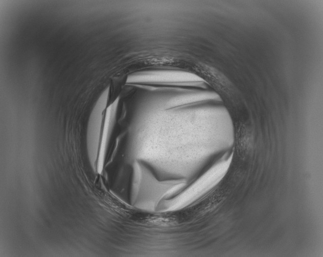 X0000082710315200702161822