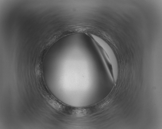 X0000082710317200702161822