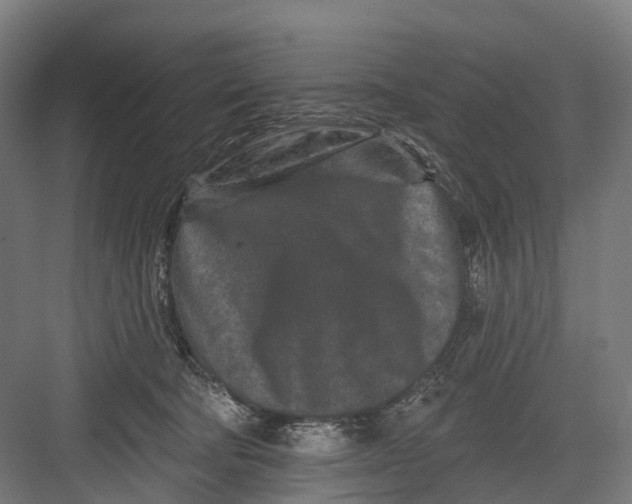 X0000082710322200702161822