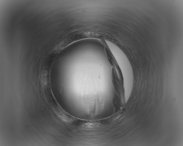 X0000082710323200702161822