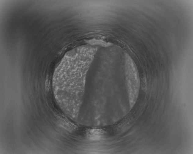 X0000082710324200702161822