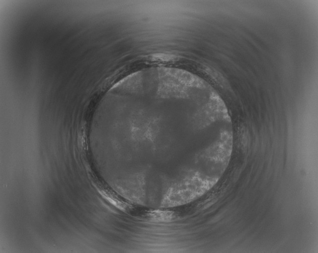 X0000082710328200702161822