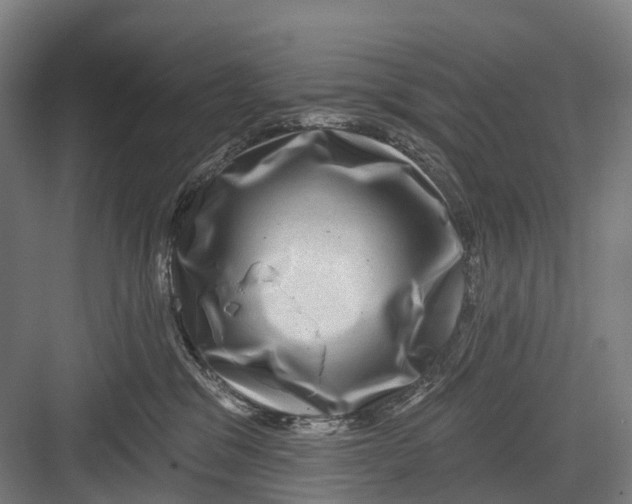 X0000082710329200702161822