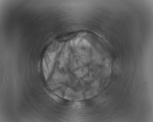 X0000082710330200702161822