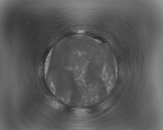 X0000082710332200702161822