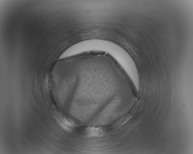 X0000082710333200702161822