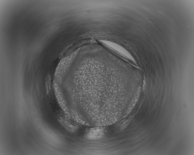 X0000082710335200702161822