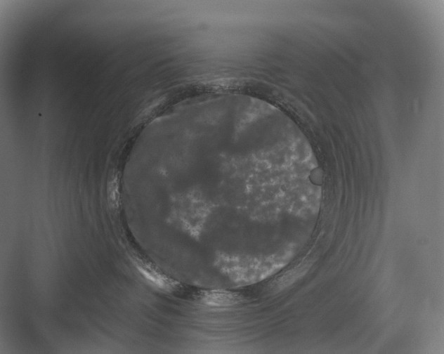 X0000082710336200702161822