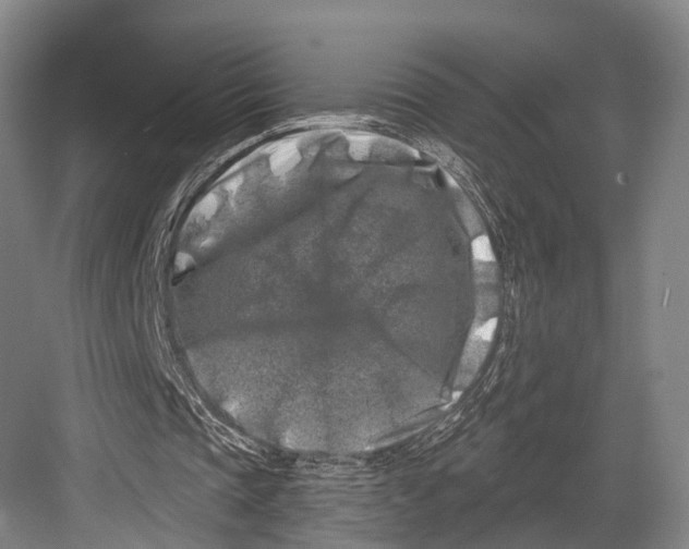 X0000082710337200702161821