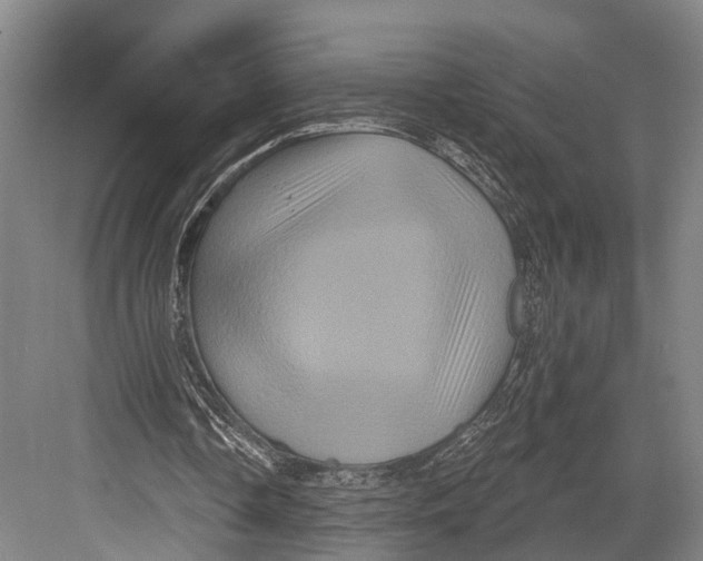 X0000082710338200702161821