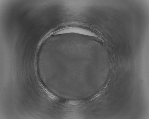 X0000082710341200702161821