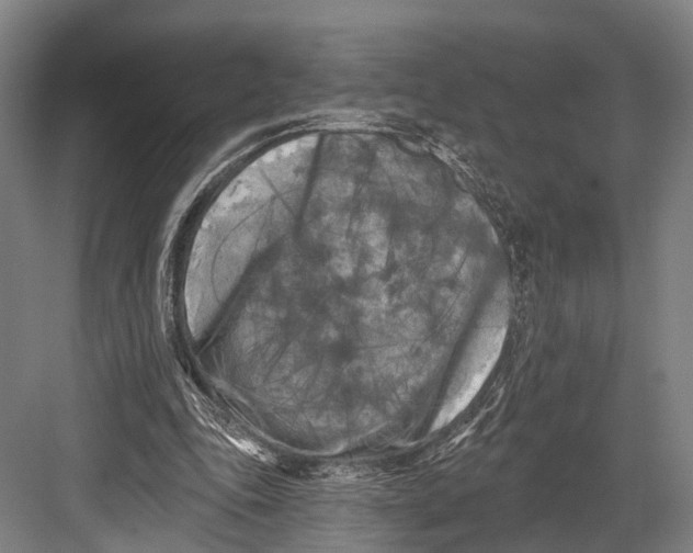 X0000082710343200702161821