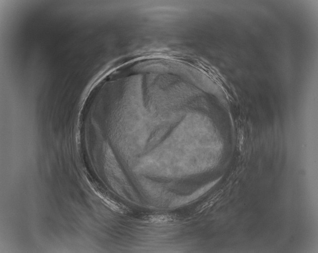 X0000082710344200702161821