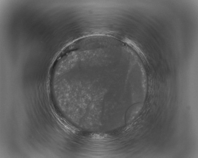 X0000082710346200702161821