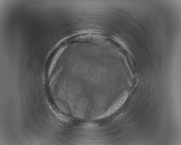 X0000082710348200702161821