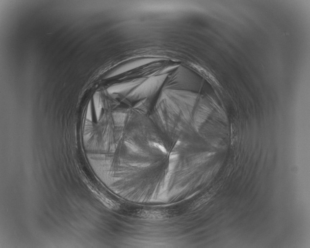 X0000082710349200702161821