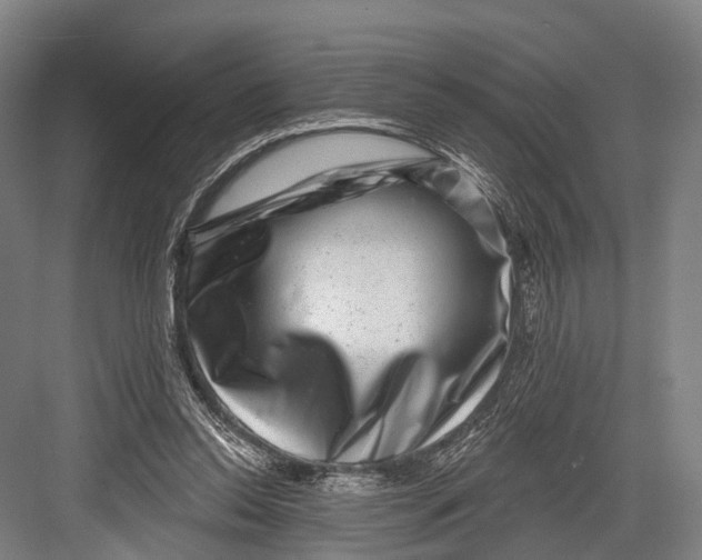 X0000082710350200702161821